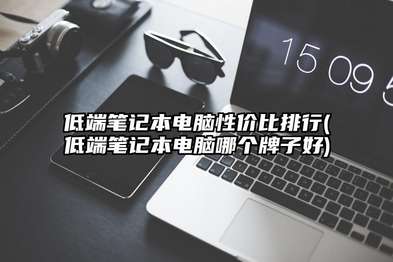 低端笔记本电脑性价比排行(低端笔记本电脑哪个牌子好)