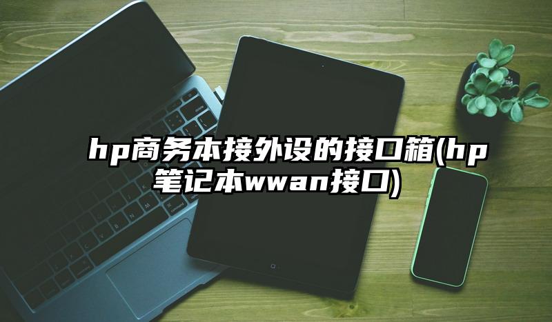 hp商务本接外设的接口箱(hp笔记本wwan接口)