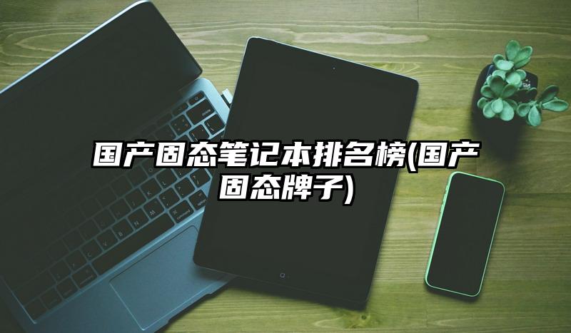 国产固态笔记本排名榜(国产固态牌子)