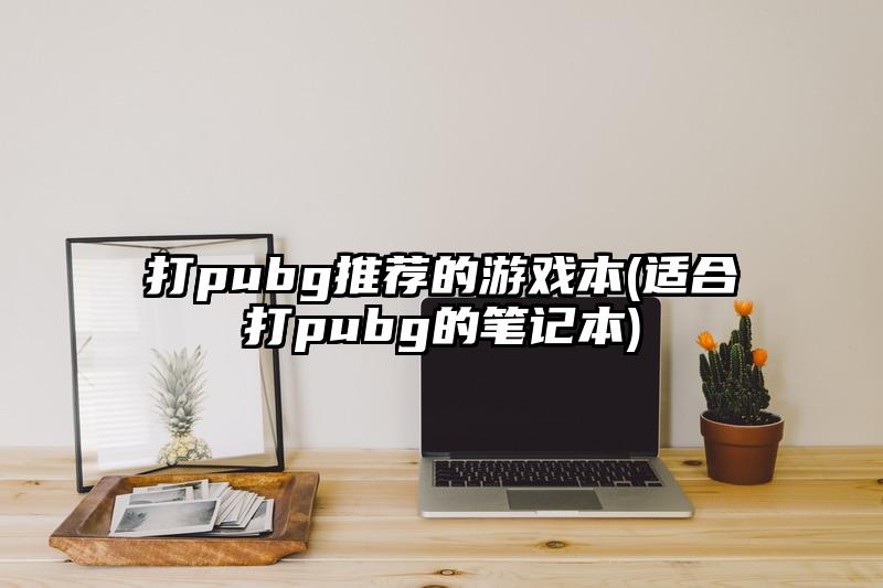 打pubg推荐的游戏本(适合打pubg的笔记本)