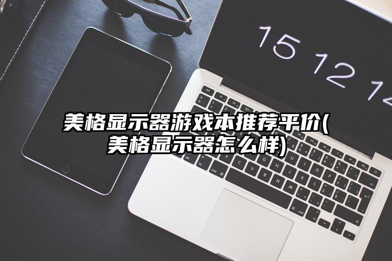 美格显示器游戏本推荐平价(美格显示器怎么样)