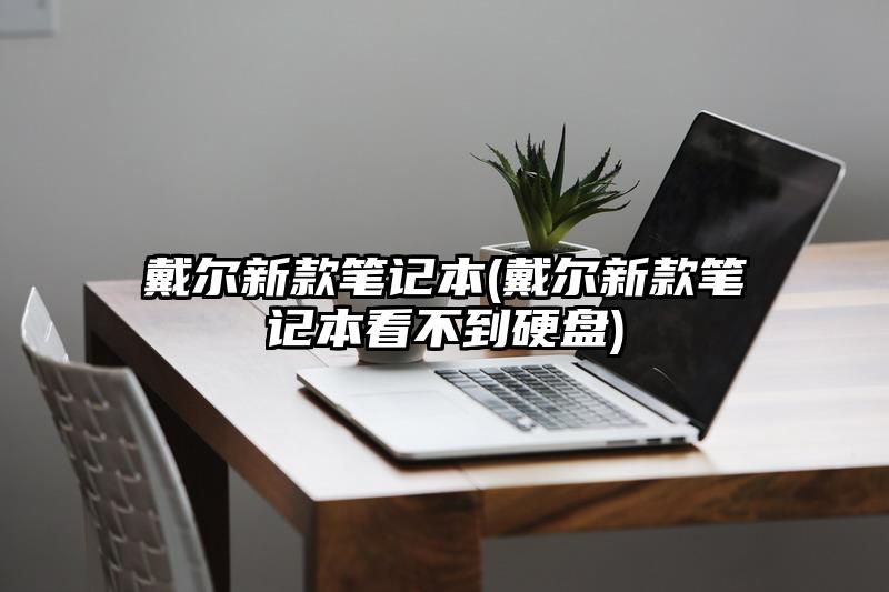 戴尔新款笔记本(戴尔新款笔记本看不到硬盘)