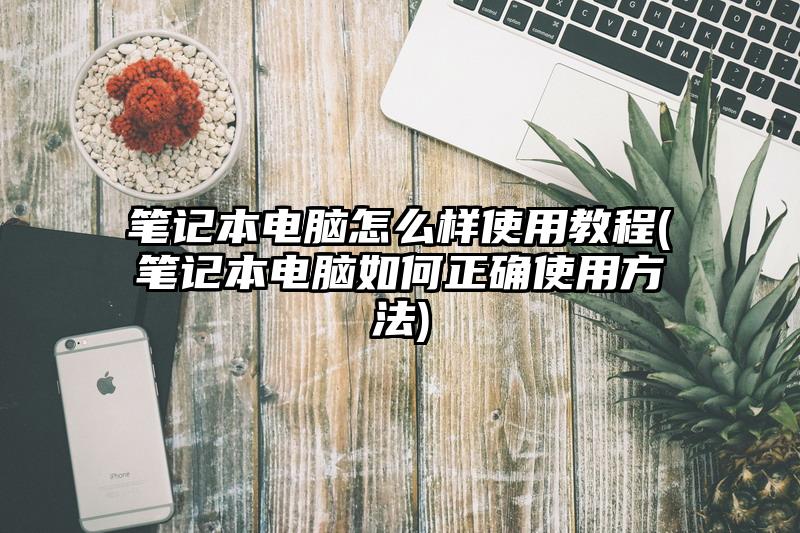 笔记本电脑怎么样使用教程(笔记本电脑如何正确使用方法)