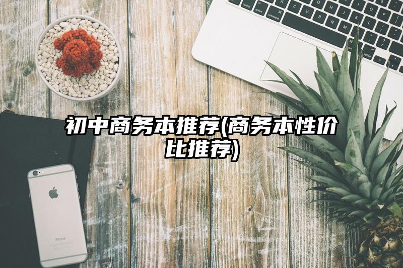 初中商务本推荐(商务本性价比推荐)