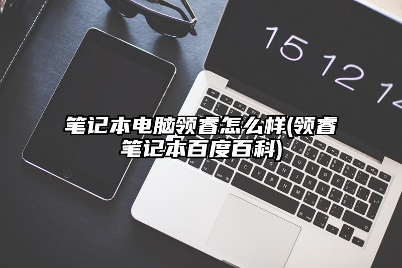 笔记本电脑领睿怎么样(领睿笔记本百度百科)