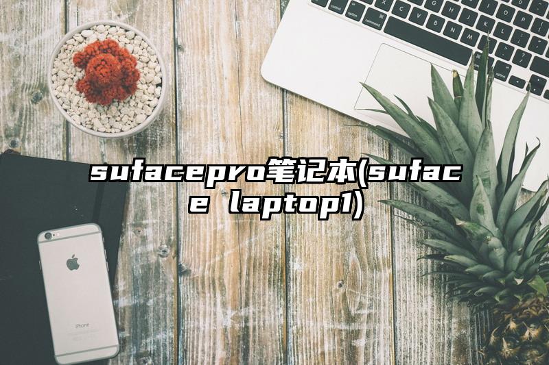 sufacepro笔记本(suface laptop1)
