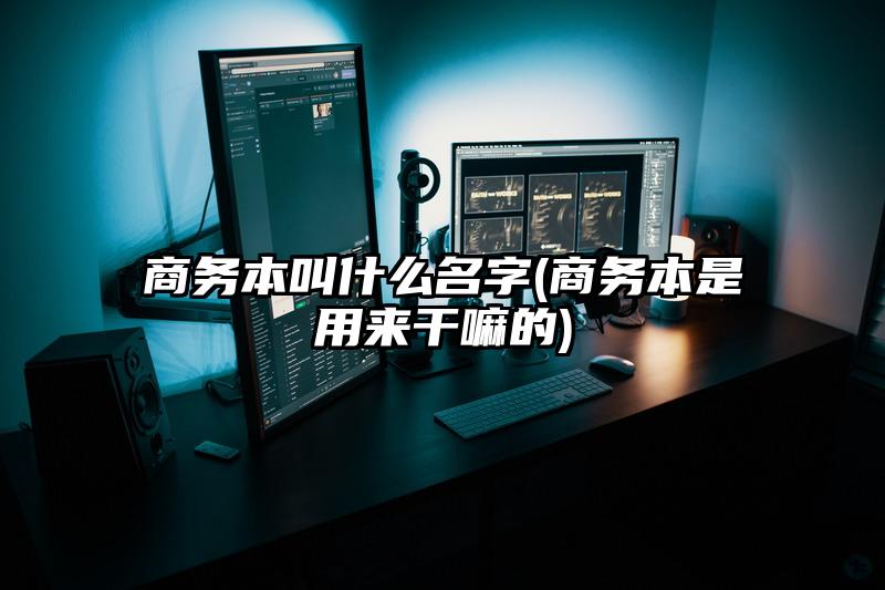 商务本叫什么名字(商务本是用来干嘛的)