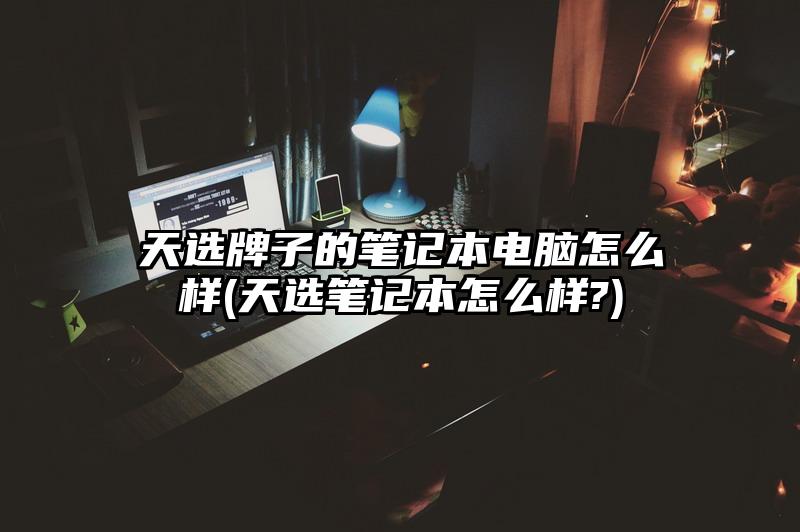 天选牌子的笔记本电脑怎么样(天选笔记本怎么样?)