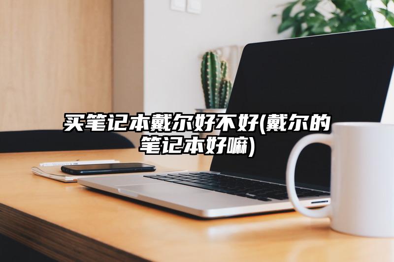 买笔记本戴尔好不好(戴尔的笔记本好嘛)