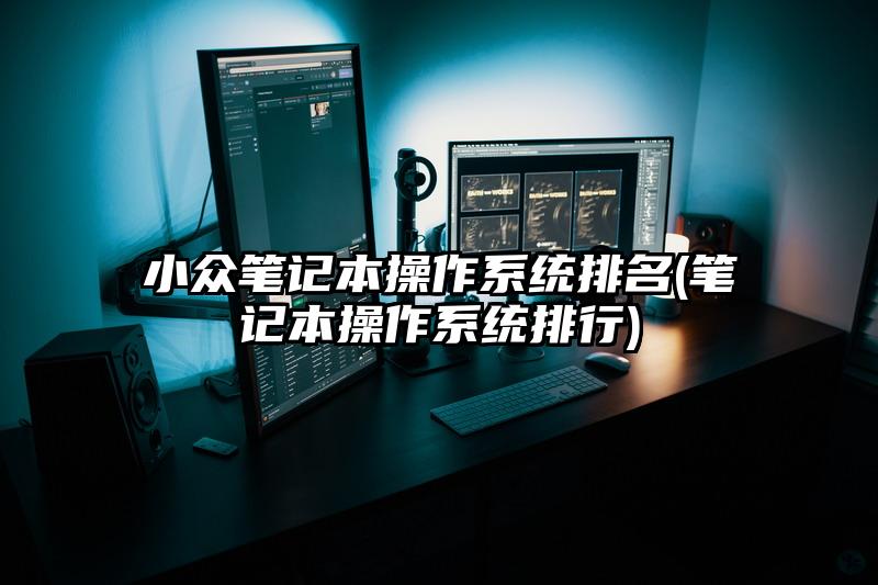 小众笔记本操作系统排名(笔记本操作系统排行)
