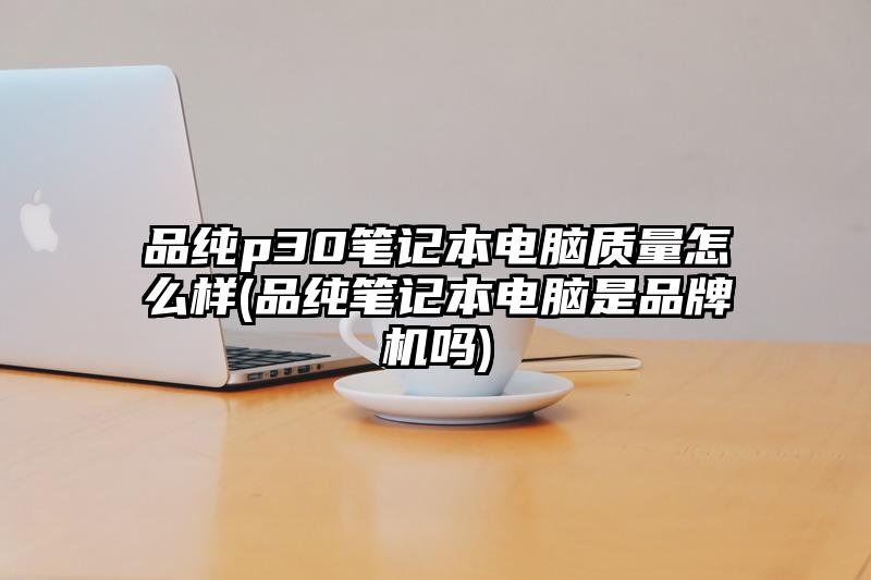 品纯p30笔记本电脑质量怎么样(品纯笔记本电脑是品牌机吗)